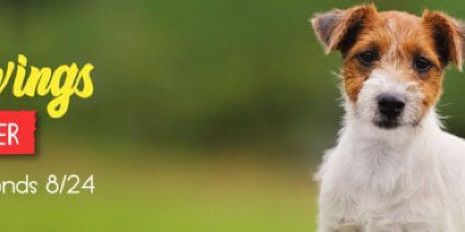 raw-dog-food-review-1024x205-1
